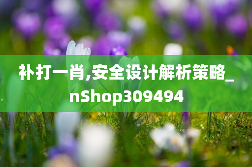 补打一肖,安全设计解析策略_nShop309494