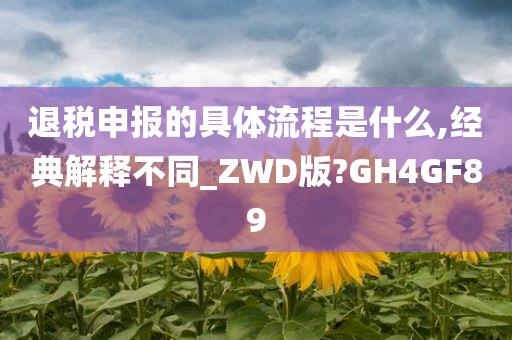 退税申报的具体流程是什么,经典解释不同_ZWD版?GH4GF89