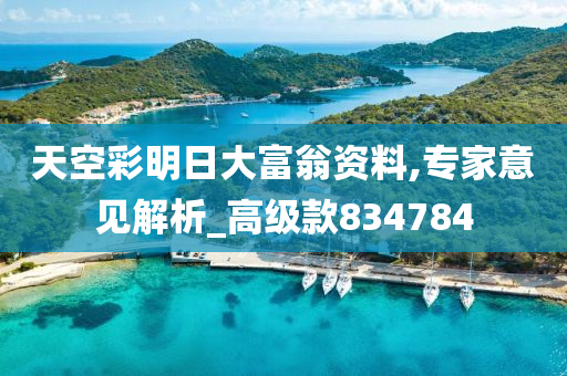 天空彩明日大富翁资料,专家意见解析_高级款834784