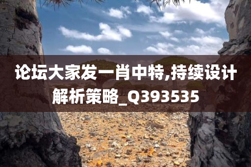 论坛大家发一肖中特,持续设计解析策略_Q393535