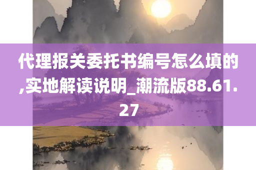 代理报关委托书编号怎么填的,实地解读说明_潮流版88.61.27