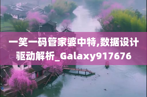 一笑一码管家婆中特,数据设计驱动解析_Galaxy917676