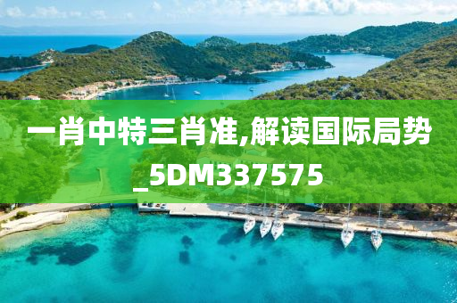 一肖中特三肖准,解读国际局势_5DM337575