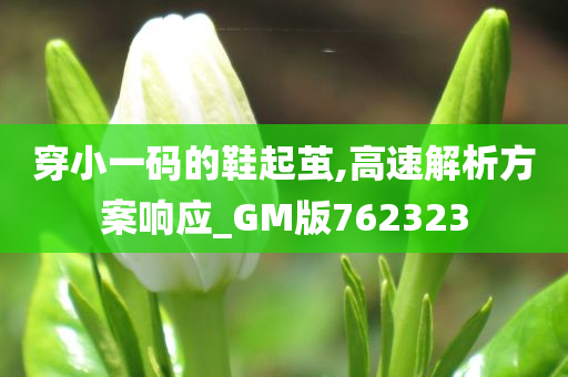 穿小一码的鞋起茧,高速解析方案响应_GM版762323