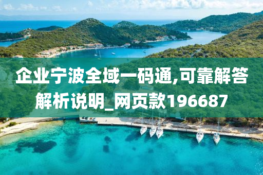 企业宁波全域一码通,可靠解答解析说明_网页款196687