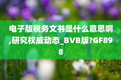 电子版税务文书是什么意思啊,研究权威动态_BVB版?GF898