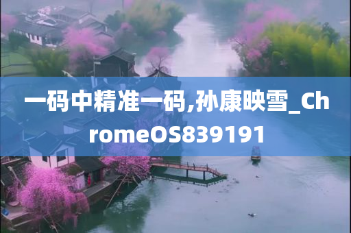 一码中精准一码,孙康映雪_ChromeOS839191