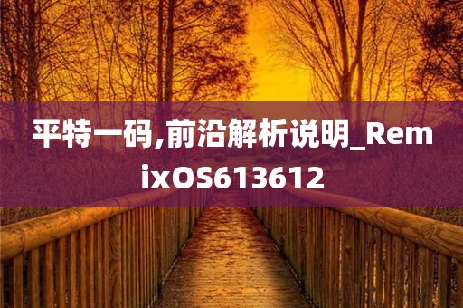 平特一码,前沿解析说明_RemixOS613612