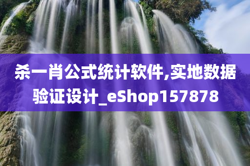 杀一肖公式统计软件,实地数据验证设计_eShop157878