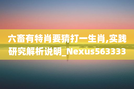 六畜有特肖要猜打一生肖,实践研究解析说明_Nexus563333