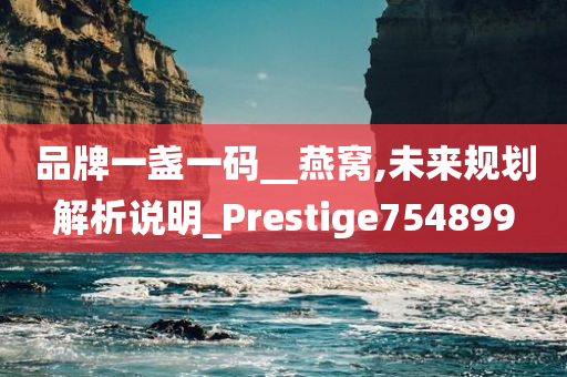 品牌一盏一码__燕窝,未来规划解析说明_Prestige754899