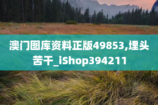 澳门图库资料正版49853,埋头苦干_iShop394211