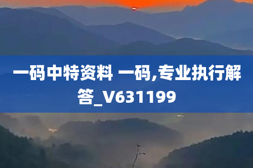 一码中特资料 一码,专业执行解答_V631199