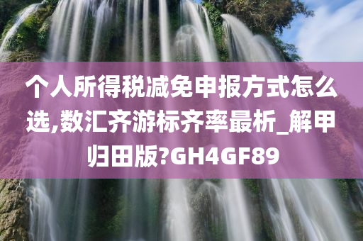 个人所得税减免申报方式怎么选,数汇齐游标齐率最析_解甲归田版?GH4GF89