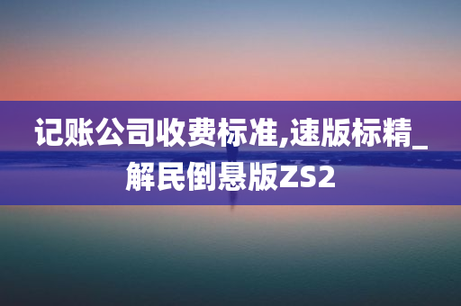 记账公司收费标准,速版标精_解民倒悬版ZS2