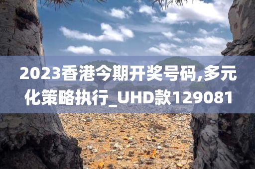 2023香港今期开奖号码,多元化策略执行_UHD款129081