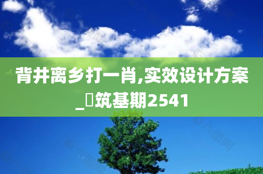 背井离乡打一肖,实效设计方案_?筑基期2541