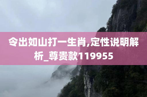 令出如山打一生肖,定性说明解析_尊贵款119955