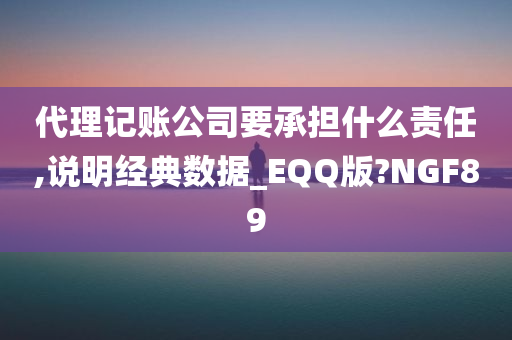 代理记账公司要承担什么责任,说明经典数据_EQQ版?NGF89