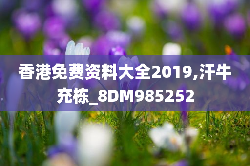 香港免费资料大全2019,汗牛充栋_8DM985252