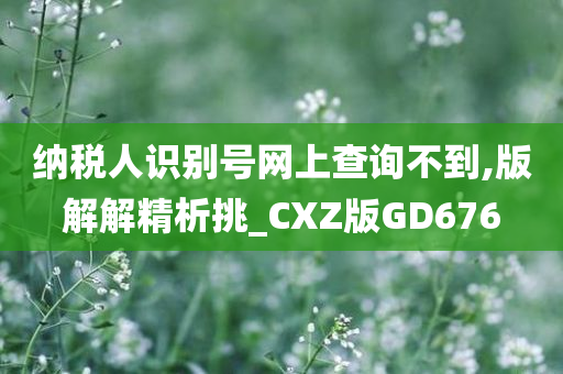 纳税人识别号网上查询不到,版解解精析挑_CXZ版GD676