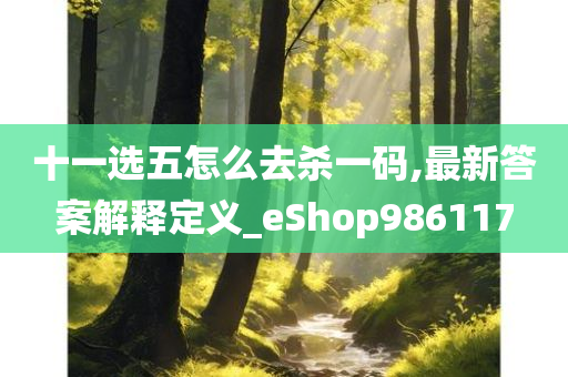 十一选五怎么去杀一码,最新答案解释定义_eShop986117