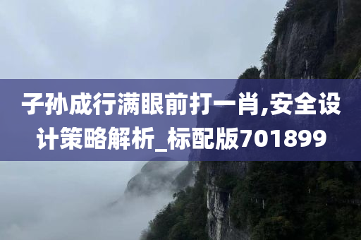 子孙成行满眼前打一肖,安全设计策略解析_标配版701899