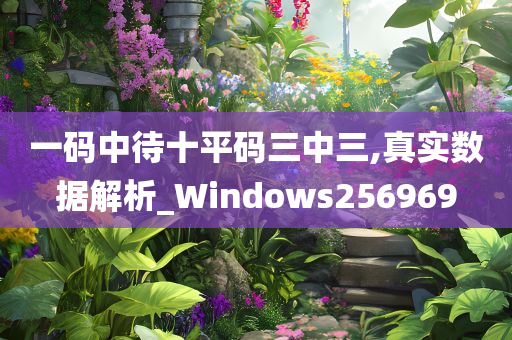 一码中待十平码三中三,真实数据解析_Windows256969