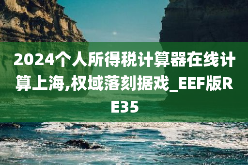 2024个人所得税计算器在线计算上海,权域落刻据戏_EEF版RE35