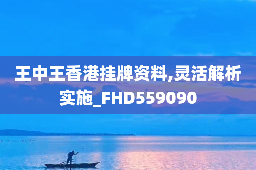 王中王香港挂牌资料,灵活解析实施_FHD559090