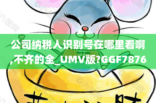 公司纳税人识别号在哪里看啊,不齐的全_UMV版?GGF7876