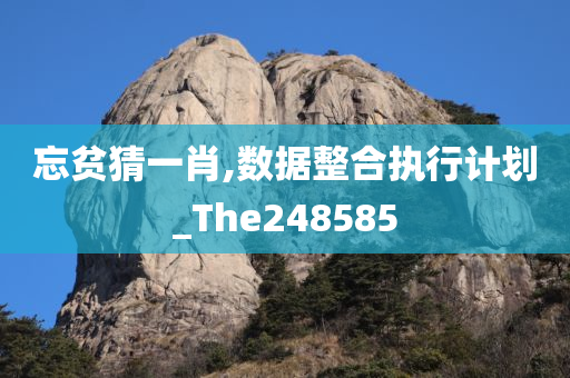 忘贫猜一肖,数据整合执行计划_The248585