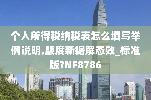 个人所得税纳税表怎么填写举例说明,版度新据解态效_标准版?NF8786