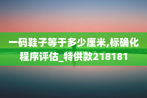 一码鞋子等于多少厘米,标确化程序评估_特供款218181