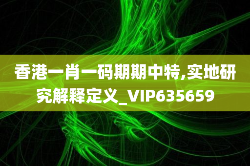 香港一肖一码期期中特,实地研究解释定义_VIP635659