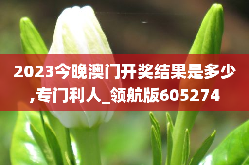 2023今晚澳门开奖结果是多少,专门利人_领航版605274