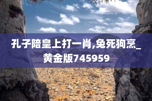 孔子陪皇上打一肖,兔死狗烹_黄金版745959