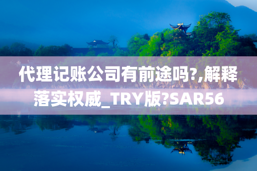 代理记账公司有前途吗?,解释落实权威_TRY版?SAR56