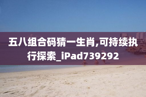 五八组合码猜一生肖,可持续执行探索_iPad739292