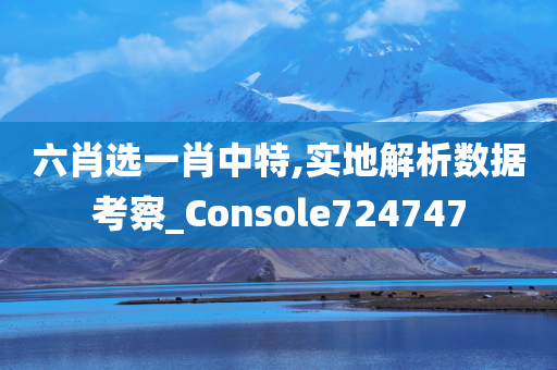 六肖选一肖中特,实地解析数据考察_Console724747