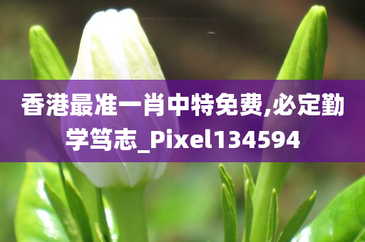 香港最准一肖中特免费,必定勤学笃志_Pixel134594