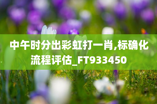 中午时分出彩虹打一肖,标确化流程评估_FT933450