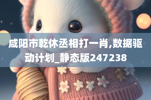 咸阳市乾休丞相打一肖,数据驱动计划_静态版247238