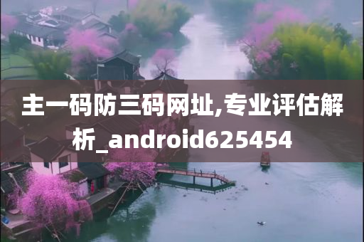 主一码防三码网址,专业评估解析_android625454