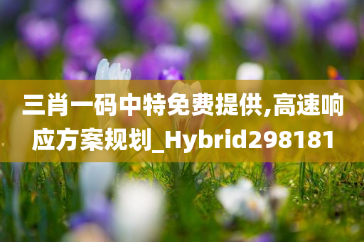 三肖一码中特免费提供,高速响应方案规划_Hybrid298181