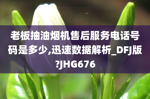 老板抽油烟机售后服务电话号码是多少,迅速数据解析_DFJ版?JHG676