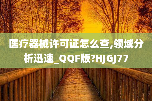 医疗器械许可证怎么查,领域分析迅速_QQF版?HJGJ77