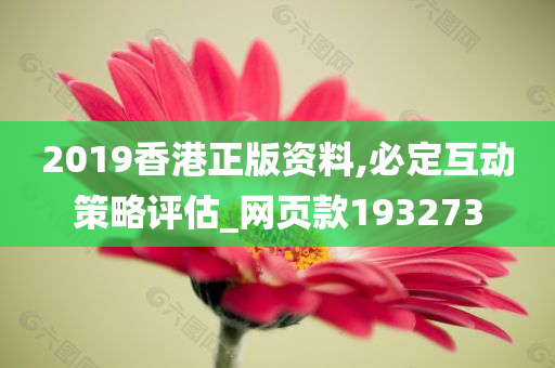 2019香港正版资料,必定互动策略评估_网页款193273