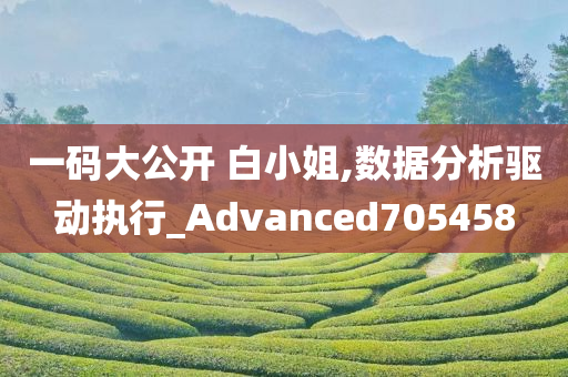 一码大公开 白小姐,数据分析驱动执行_Advanced705458