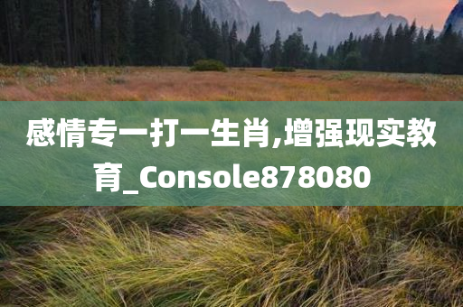 感情专一打一生肖,增强现实教育_Console878080